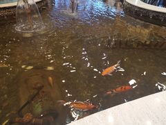 -碧中海汤泉汗蒸酒店