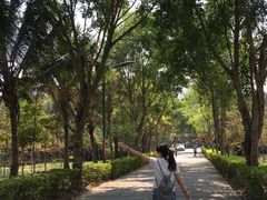 -西双版纳傣族园