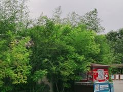 -济南方特东方神画