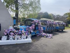 -上海鲜花港