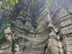 -梭布垭石林景区