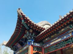 -武清南湖绿博园