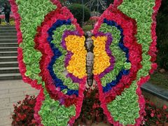 -松山湖梦幻百花洲
