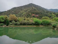 -东海大峡谷