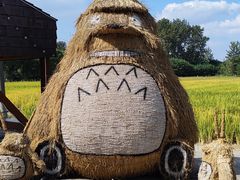 -嘉北郊野公园