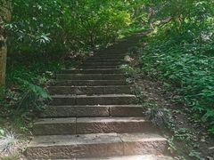 -九曜山