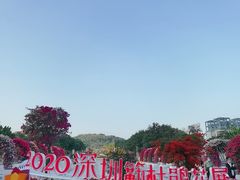 -莲花山公园