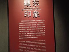 -四川大学博物馆