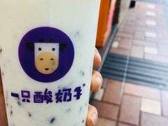 -一只酸奶牛(八一路店)