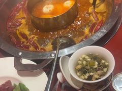 -大龙燚·旷野鲜火锅(广州首店)