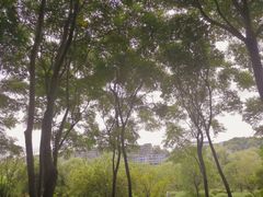 -花溪公园