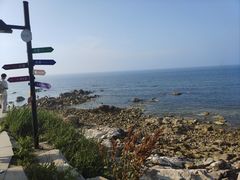 -养马岛旅游度假区
