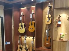 -知音艺术教育培训·钢琴培训·音乐培训(河西金鹰世界校区)