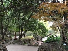 -叶家花园