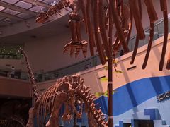 -陕西自然博物馆