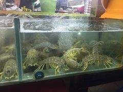 -班赞海鲜市场