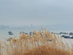 -海源公园