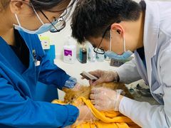 -康爱犬猫诊所·牙专科·骨外科·影像内科(丰宁店)
