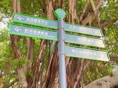 -东山湖公园