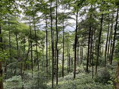 -莫干山风景区