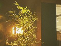 -顺香居·老字号湖北菜(江汉路店)