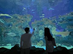 -芜湖新华联大白鲸海洋公园