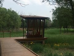 -东郊湿地公园
