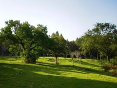 -杭州植物园