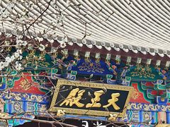 -护国法轮寺