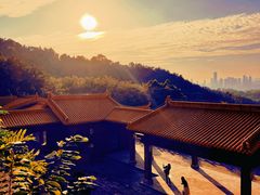 -深圳仙湖植物园