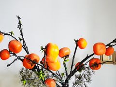 -她说户外烧烤团建(西湖店)