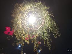 -年轮烧烤·羊蝎子·烤鱼(星湖街店)