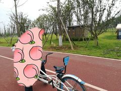 -白鹭湾湿地公园