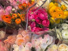 -循礼门鲜花花市(武汉循礼门店)