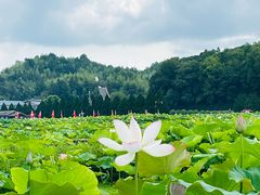 -古田会议纪念馆