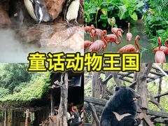 -长鹿旅游休博园