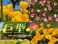 -上海鲜花港