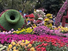 -杭州植物园