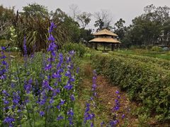 -广西壮族自治区药用植物园