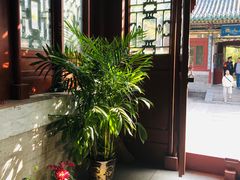 -迎泽公园