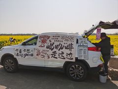 -西京湾花海
