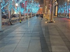 -上海品尊辉盛名致精品酒店公寓