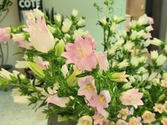 -EVERNAKED裸蛋糕(SOHO天山店)