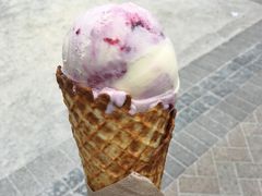 -Patagonia Chocolates(皇后镇店)