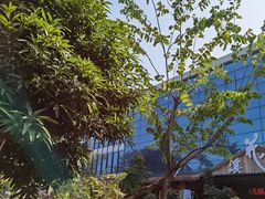 -花溪雨·森林餐厅(石基店)