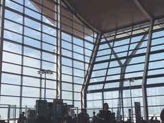 -上海浦东国际机场-T2航站楼