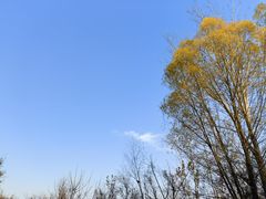 -花园口旅游区