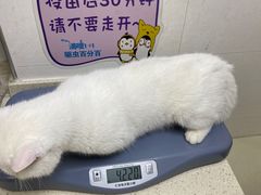 -芭比堂动物医院广州顽皮分院