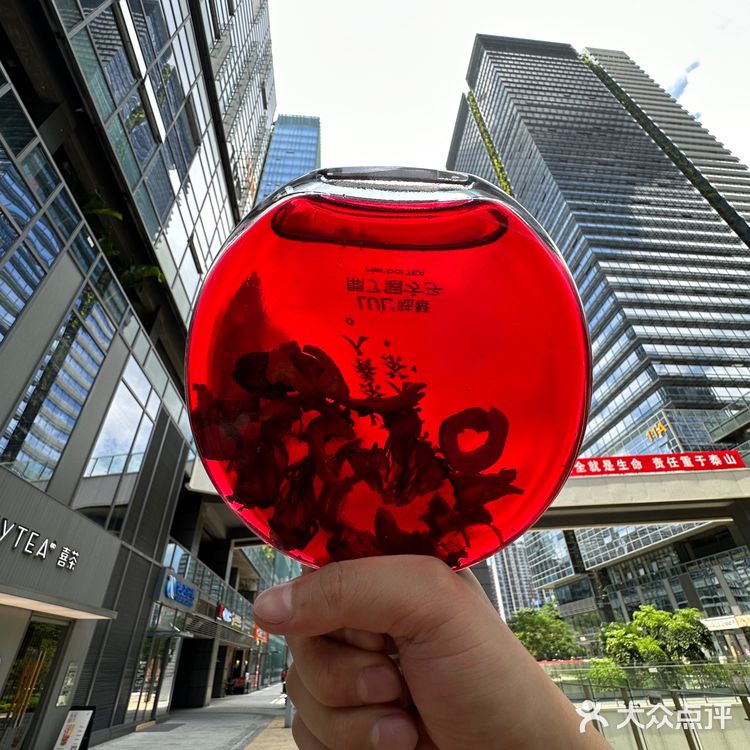 开了开了！深圳终于开了！！  