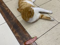 -哈尔滨饺子王·东北菜(鱼鳞浃路店)